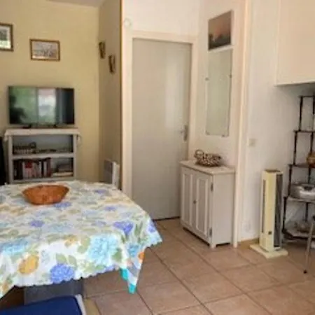 F2 Confortable Avec Parking Et Animaux Admis - Fr-1-703-15 * Amélie-les-Bains-Palalda
