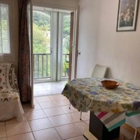 F2 Confortable Avec Parking Et Animaux Admis - Fr-1-703-15 * Amélie-les-Bains-Palalda