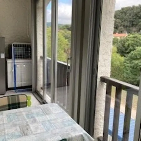 F2 Confortable Avec Parking Et Animaux Admis - Fr-1-703-15 * Amélie-les-Bains-Palalda