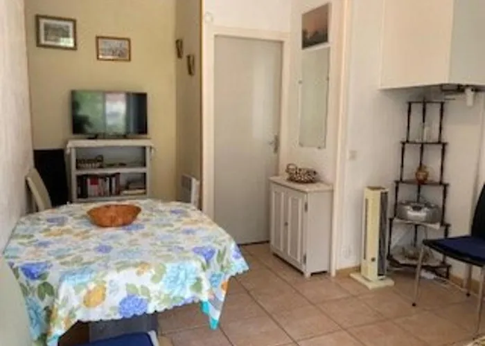 F2 Confortable Avec Parking Et Animaux Admis - Fr-1-703-15 * Amélie-les-Bains-Palalda
