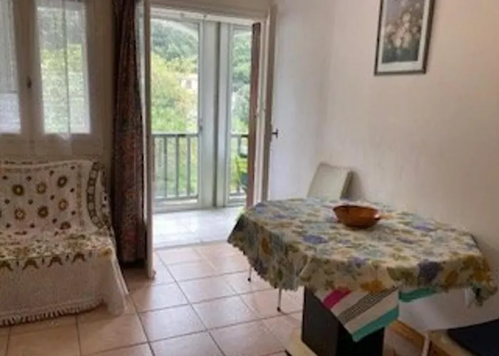 F2 Confortable Avec Parking Et Animaux Admis - Fr-1-703-15 * Amélie-les-Bains-Palalda