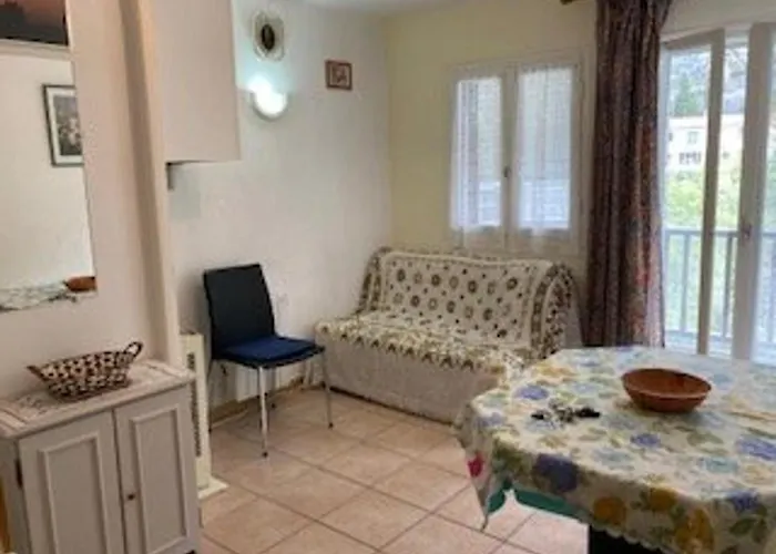 F2 Confortable Avec Parking Et Animaux Admis - Fr-1-703-15 Amélie-les-Bains-Palalda