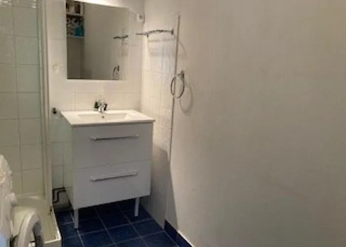 F2 Confortable Avec Parking Et Animaux Admis - Fr-1-703-15 *