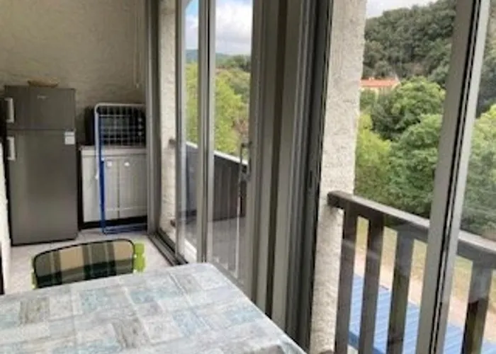 F2 Confortable Avec Parking Et Animaux Admis - Fr-1-703-15 * Amélie-les-Bains-Palalda